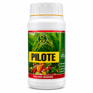 Pilote