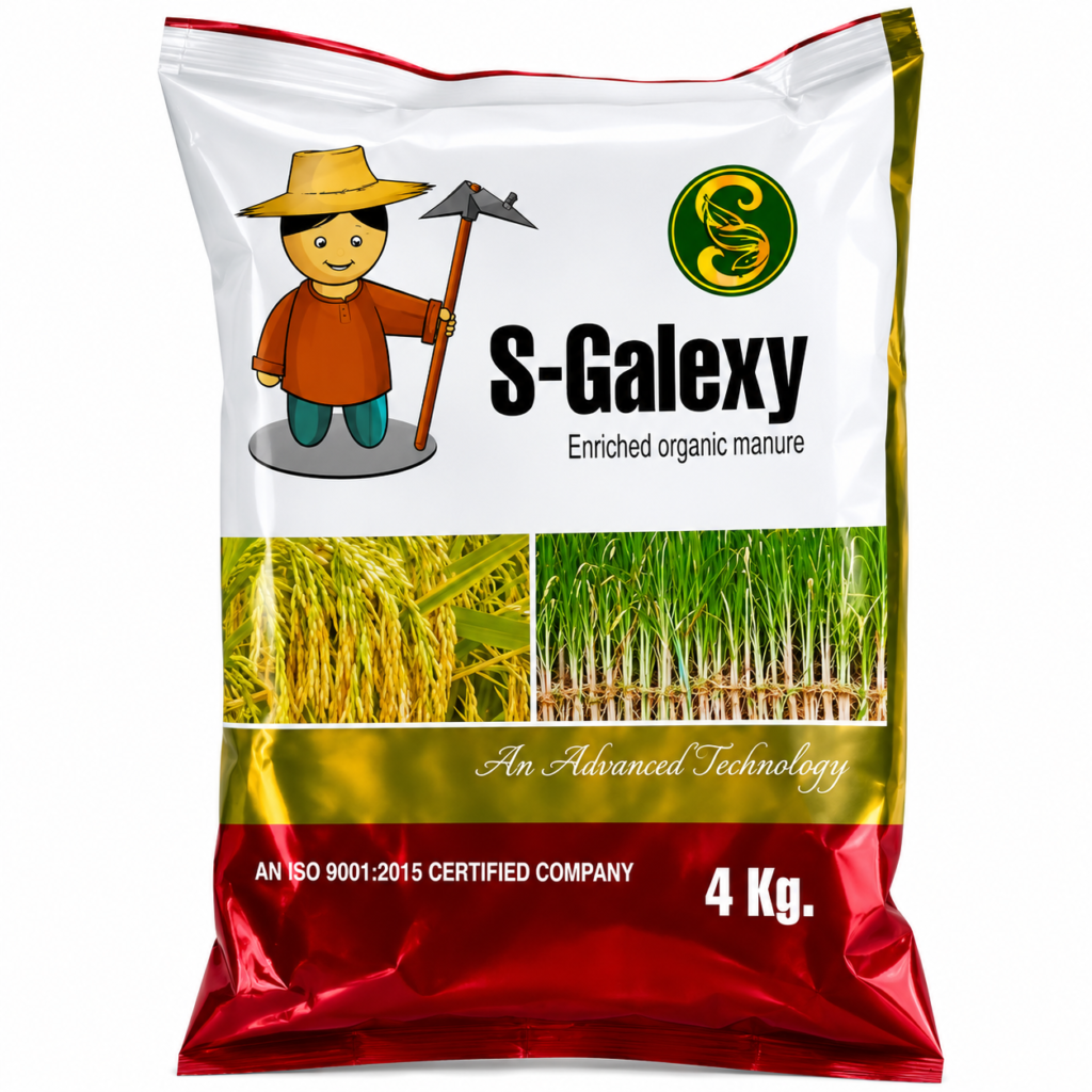 S-galaxy